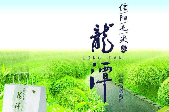 毛尖买什么牌子的好,信阳毛尖谁家的好?